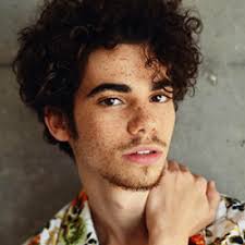 El padre de Cameron Boyce agradece el apoyo, ya que que el celular del  Cameron tiene 85 llamadas perdidas y 13 mensajes de texto de el actor  Mitchell Hope, al parecer Mitchell