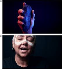 Full article: From provenance to purpose, the agency of a Dunghutti canoe