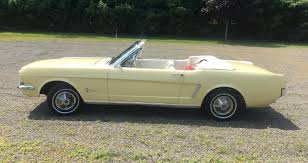 Image result for Springtime Yellow 1965 Mustang