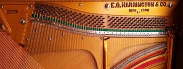 However, there are times when pianos need additional tuning. Piano Tuning Dunedin