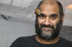 No shortage of dangers' and no easy answers for the monarch butterfly