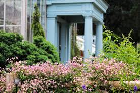 We did not find results for: Clematis Triternata Rubromarginata Wave Hill