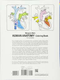 The anatomy coloring book book. Human Anatomy Coloring Book An Entertaining And Instructive Guide To The Human Body Bones Muscles Blood Nerves And How They Work Coloring Books Dover Children S Science Books Matt Margaret Ziemian Joe