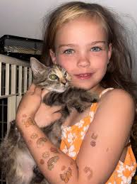 Lost cat charlotte in tri cities wa near 4th and zillah