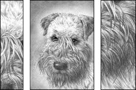 See more ideas about animal drawings, drawings, animal art. Drawing The Furry Fluffy And Feathered Dummies