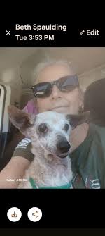 Still want to pet this bruiser 🫣