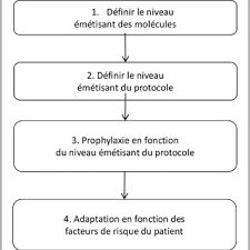 Le vertige est plus courant chez les personnes âgées, mais il peut affecter les. Pdf Nausees Vomissements Induits Par Les Traitements Anti Cancereux Nvitac Quelle Prise En Charge En 2018 Mise A Jour Du Referentiel Afsos