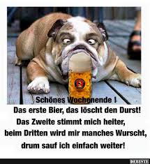 Schönes Wochenende Lustige Bilder Sprüche Witze Echt Lustig