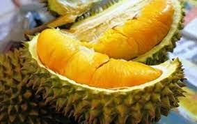 Ada di antara jenis durian ini adalah merupakan jenis klon dengan pelbagai harga dari yang paling murah hingga ke yang paling mahal berbanding durian kampung mengikut musim dan. 3 Durian Terenak Dan Termahal Di Dunia Nomor 2 Dari Indonesia