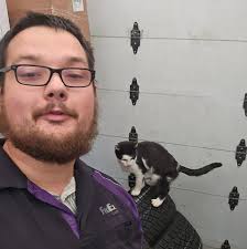 German shepherd ingested human melatonin?