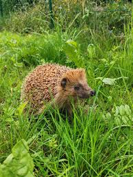 Mikaela Bañares scandal Viral Sex Videos - AsianPinay