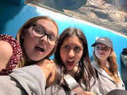 Shining Rock Classical...