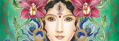 Lily Moses's Instagram, Twitter & Facebook