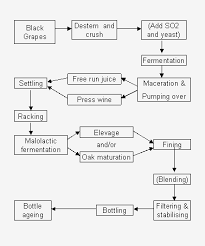 Red Wine Making Flow Chart Www Bedowntowndaytona Com