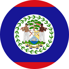Flag of belize coat of arms of belize symbol, biographay geography history, emblem, flag png. Flag Of Belize Flag Download