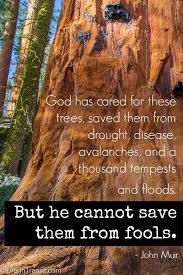 The Poetry Of John Muir Quotes On Nature Conservation Travel Ever In Transit John Muir Quotes Nature Quotes Nature Quotes Trees