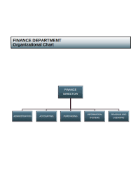 7 Finance Organizational Chart Templates In Google Docs