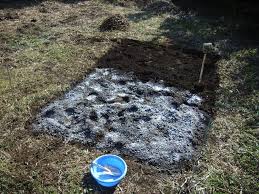 Conseils Pour Utiliser La Chaux Au Jardin Amendement Basique Anti Mousse Anti Taupin Badigeon Pour Les Troncs De Fruiti Chaux Jardin Jardins Astuce Jardin