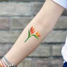 Bird Of Paradise Flower Temporary Tattoo Sticker Set Of 2 In 2020 Bird Of Paradise Tattoo Tattoo Stickers Birds Of Paradise Flower