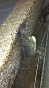 Bedbug Equipment Rentals By Ecoforce Heat Systems Bed Bugs Bed Bugs Infestation Signs Of Bed Bugs