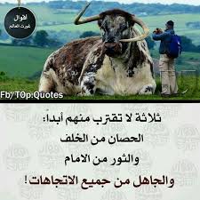 خلف قضبان المجتمع ثلاثة لا تقترب منهم ابدا Quotes For Book Lovers Words Quotes Wisdom Quotes