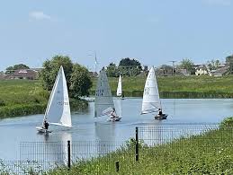 Image result for Handic 008