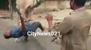 Slow mo heavy rain drops 1st sep 2019 • 720p. Angry Camel Herunterladen