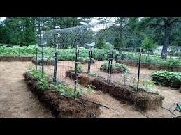 133 Bale Garden Cattle Panel Arched Trellis And Trellis Tunnels Youtube Cattle Panels Arch Trellis Garden Trellis