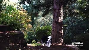 Shop with afterpay on eligible items. Invisible Fence Home Facebook