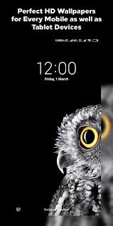 You will definitely choose from a huge number of pictures that option that will suit you exactly! 4k Amoled Wallpapers Live Wallpaper Changer Fur Android Apk Herunterladen