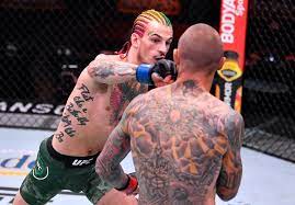 Contact sean o'malley mma on messenger. I Think That Was Worth 100gs Sean O Malley Puts A Price On His Knockout At Ufc 250 Essentiallysports