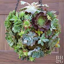 This Colorful Succulent Hanging Is A Modern Twist On A Hanging Basket Diy Your Own Succulent Planter With Our Eas Hanging Succulents Succulents Diy Succulents