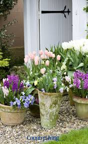 What to plant right now. 33 Flowers To Plant Right Now If You Want A Beautiful Garden Next Spring Cottage Garden Design Cottage Garden Cottage Garden Plants