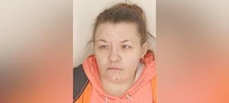 Waverly woman arrested with petit larceny charge