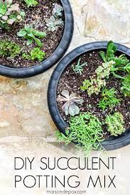 But is it good for other plants other than succulents and cacti? Diy Succulent Soil Potting Mix Maison De Pax