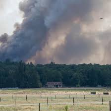 Feux Incendie Fontainebleau