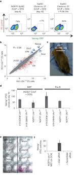 955 din 8 septembrie 2010pentru modificarea şi completarea normelor metodologice de aplicare a prevederilor legii securităţii şi sănătăţii în muncă nr. The H3k27 Demethylase Utx Regulates Somatic And Germ Cell Epigenetic Reprogramming Nature