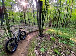 Reforestation Camp Mountain Bike Trail, Suamico, Wisconsin