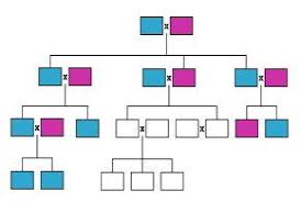 Stamboom Maken Maak Een Stamboom Van Uw Familie Stamboom Genealogie Bullet Journal Ideeen