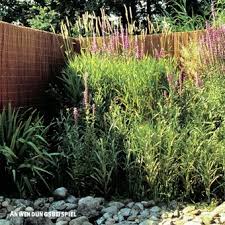 Sichtschutzzaun Weidenmatte Provence Dunkel Weidenmatten Weidenmatte Sichtschutz Weiden