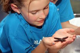 Governor cites Guana volunteer Janet Koehler for her dedication and hard  work