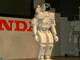 P3 — image 5