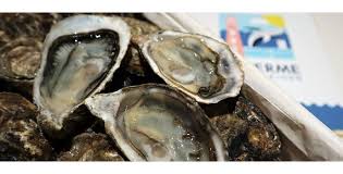 Les documents administratifs que vous recevez au quotidien sont à garder précieusement. Conserver Les Huitres Dans Les Meilleures Conditions La Ferme Des Baleines