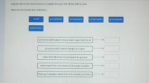 Por que vale a pena estar no brainly? Fast 20 Points Drag The Tiles To The Correct Boxes To Complete The Pairs Not All Tiles Will Be Used Brainly Com
