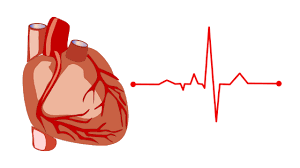 How can heart attack and stroke be prevented? Difference Between Stroke And Heart Attack Cardiac Arrest Physiosunit