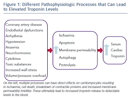 Cardiac Troponin Levels In Acute Heart Failure