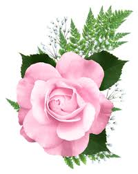 Pink Rose Png Transparent Picture Pink Rose Png Flower Clipart Rose