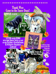 We did not find results for: Fivesibes Gone To The Snow Dogs Joins Livegibstrong And Raises Funds For Canine Epilepsy