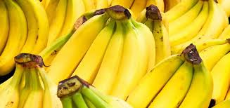 Ante brasil, ecuador buscará ratificar su gran momento y trepar a lo más alto. El Telegrafo Banano Ecuatoriano Llego A Brasil Tras 20 Anos De Restriccion