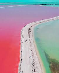 Las Coloradas Yucatan Mexico 3 Hrs N E Of Merida Beautiful Surreal Magical Pink Results From Yucatan Turismo Paisajes Naturales De Mexico Paisaje Mexico